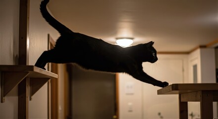 Black cat mid‑jump from a wooden shelf, body fully extended with paws reaching forward, captured in warm indoor light that highlights its agility and grace
