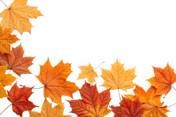 Vibrant Autumn Maple Leaves Frame Transparent Background PNG Cutout