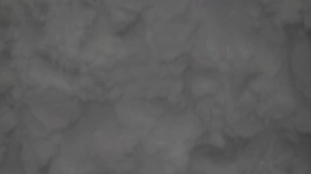 Chef prepares delicious dessert while showcasing skillful techniques in a bright kitchen