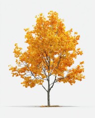 Autumn tree with vibrant fall foliage