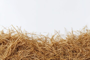 Hay Border. Top View of Dried Hay Pile Isolated on White Background