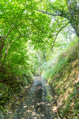 Fototapeta premium Branas de Abajo village in the Leitareigos valley in Asturias, Spain