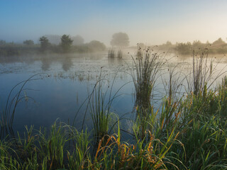 foggy morning on the river with reeds