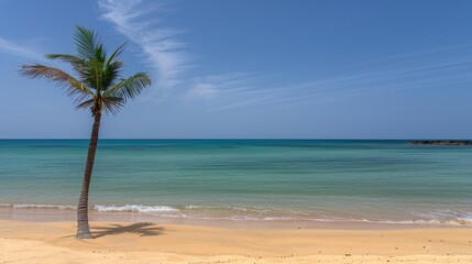 Obraz premium Lone palm tree on small golden sandy island surrounded by crystal clear turquoise waters