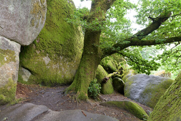 Magnifique paysage dans la forêt d'Huelgoat en Bretagne - France
