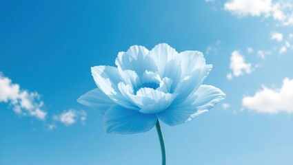 Serene Blue Sky and White Flower against Cloudy Background