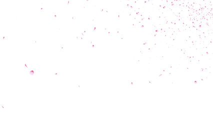 桜吹雪：桜の花びらイラスト　背景透過