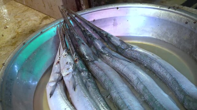 Five needlefish neatly arranged in a silver bowl with still water Focus is on their sharp noses and dark green, patterned backs