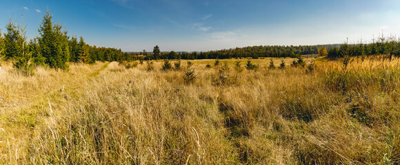 Nationalpark Harz in Sachsen-Anhalt, Harzwald, Urlaub in Deutschland, Deutschland entdecken
