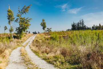 Nationalpark Harz in Sachsen-Anhalt, Harzwald, Urlaub in Deutschland, Deutschland entdecken