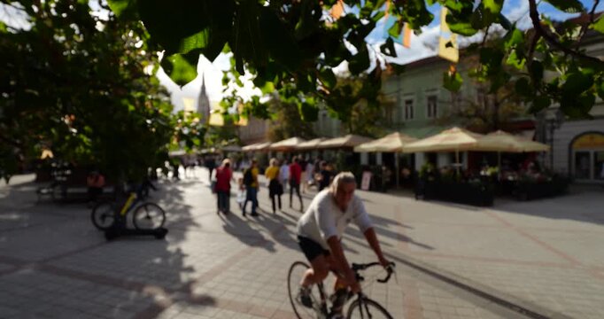 Defocused view captures ambiance of famous Zmaj Jovina street in Novi Sad. Green leaves on trees hang over, blurred background create picturesque scene of cozy pedestrian alley.
