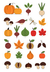 Autumn harvest vegetables fruits fungi leaves and insects collection season