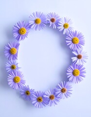 Obraz premium Aster savatieri flower background