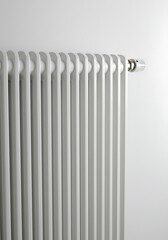 Clean Lines, Warm Embrace