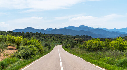 The winding road stretches through lush greenery towards the majestic Serra de Montsant mountain range in Catalonia, Spain. The verdant landscape is framed by trees and fields under a clear sky.