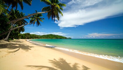 Naklejka premium Idyllic tropical beach with turquoise water and leaning palm trees