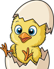  Cartoon baby chick, cracked egg, vector illustration, cute yellow bird, Easter symbol, springtime animal, happy hatchling, stock image, fluffy character