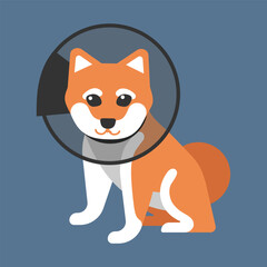 Vector illustration isolated on blue background. Japanese Shiba Inu dog sits in dog veterinary cone after surgery and is sad in pain. Domestic animal character is symbol of responsibility and care
