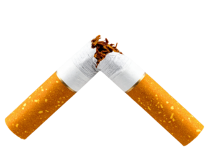 Crushed Cigarette Bent and Broken in Two Pieces, Stop Smoking Concept, isolated on transparent background