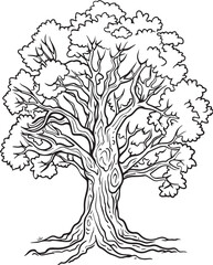 Hand Drawn Oak Tree Coloring Set