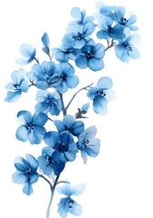 Watercolor blue flax flower clipart, on a white background with margins, 