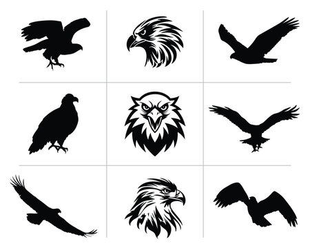 Eagle baaz head face set collection pack bundle black shape icon silhouette vector flat illustration design on white background
