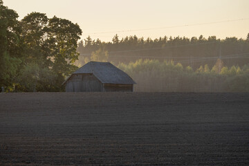 Old Wooden Barn on Plowed Farmland at Sunset in Rural Countryside with Forest Background
