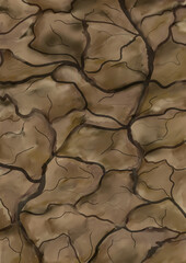 dry cracked ground illustration