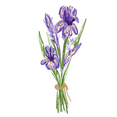 Iris_flower_Lemmedy