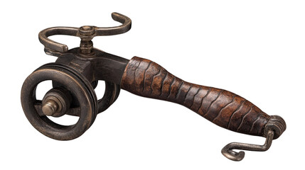 Fierce and Majestic Creature with Thick Fur and Intimidating Stance