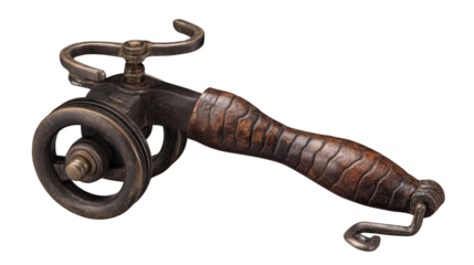 Fierce and Majestic Creature with Thick Fur and Intimidating Stance