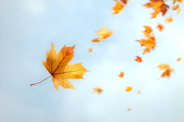 Fototapeta premium Falling orange leaves dance in the breeze against a soft blue sky, capturing the essence of autumn's beauty and tranquility.