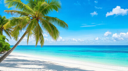 Fototapeta premium Summer Solstice Solar Term: Tropical Beach with Coconut Trees and White Sand, Vacation Travel Background