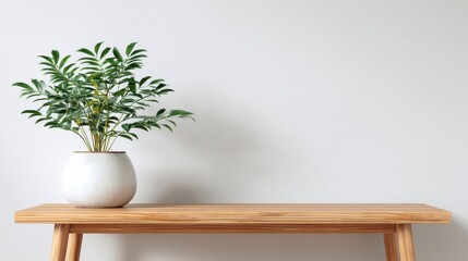 Elegant photo of minimalist and elegant interior design with green plant in white ceramic pot stands on light wooden table against white wall. Simple living, nomadic home.