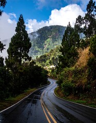 Fototapeta premium Winding mountain road through lush green forest after rain
