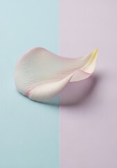 Single floral petal on soft pastel backdrop creating serene imagery
