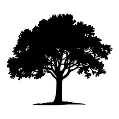 Stunning black silhouette of a mature tree with lush foliage perfect for nature designs