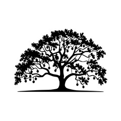 Obraz premium Elegant silhouette of a mature oak tree adorned with bountiful fruit symbolizing growth and abundance