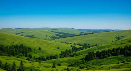 Obraz premium A Green and Lush Pastoral Landscape with Rolling Hills