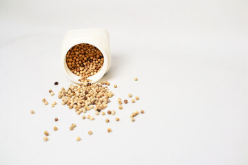 Scattered coriander seeds, overflowing from a white container against a clean white background, presenting a minimalist and fresh culinary ingredient