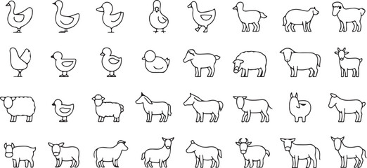 Vector Illustrations Farm Animal Outline Icons – 40 Thin Linear