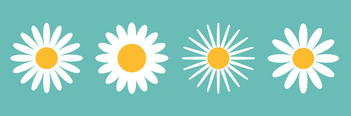 Four Daisy Illustrations on Teal Background