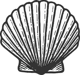 Vintage Conical Shell Illustration for Nautical Wall Art