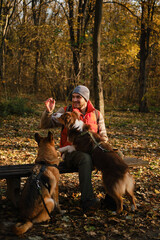Fototapeta premium Man training dogs with treats in autumn park, pets sitting and watching attentively
