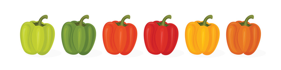 Sweet bell pepper set in different colors vector illustration isolated on white background.