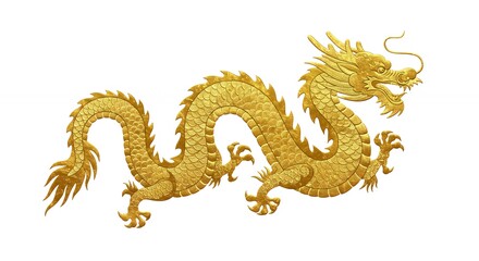 Fototapeta premium Golden dragon illustration on white background for decorative designs