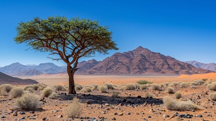 Lone tree stands majestically in expansive desert terrain beneath a bright blue sky
