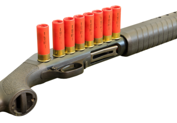 shotgun and ammo close-up isolated on transparent background