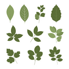 Obraz premium Collection of various green leaf silhouettes and vector illustrations