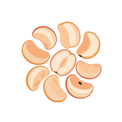 Fototapeta premium Illustration of peeled lychee fruit segments and whole lychee